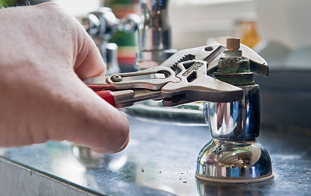 Best Basement water damage restoration  in Bay Minette, AL
